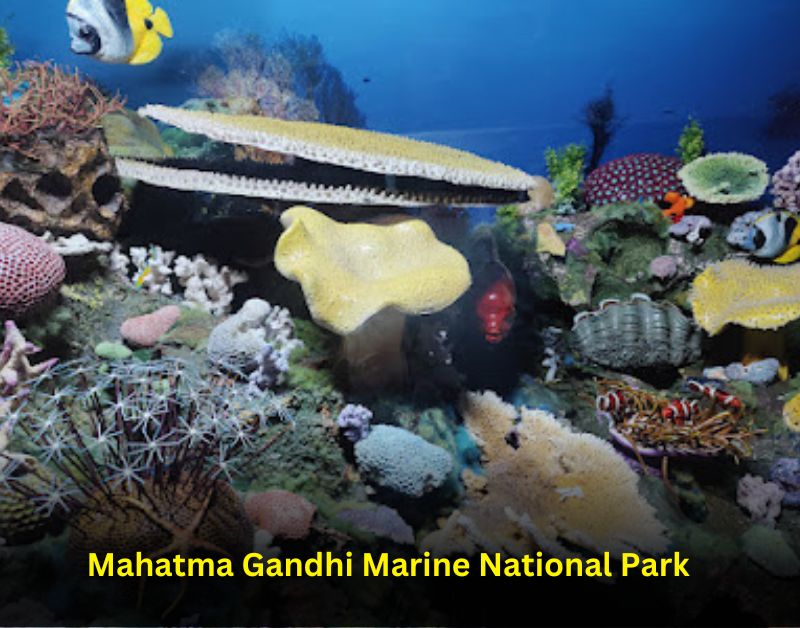 Mahatma Gandhi Marine National Park