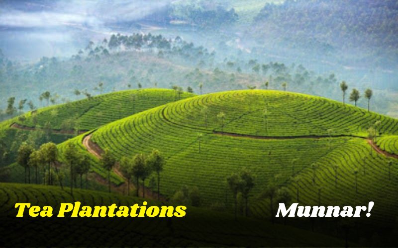 Munnar