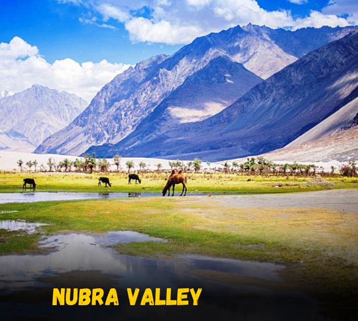 Nubra Valley