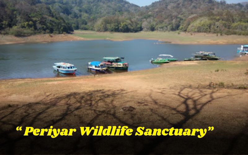 Thekkady (Periyar)