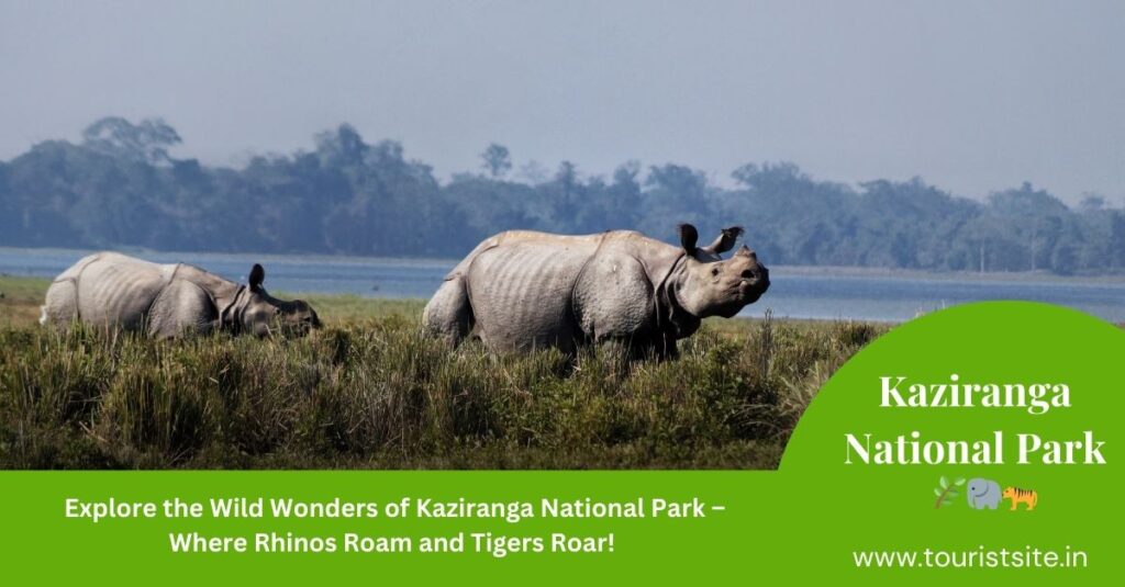 Scenic view of Kaziranga National Park