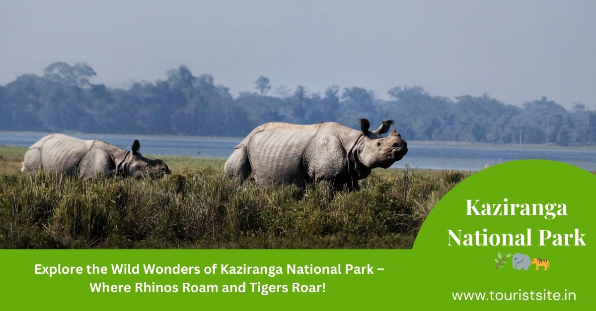 Scenic view of Kaziranga National Park