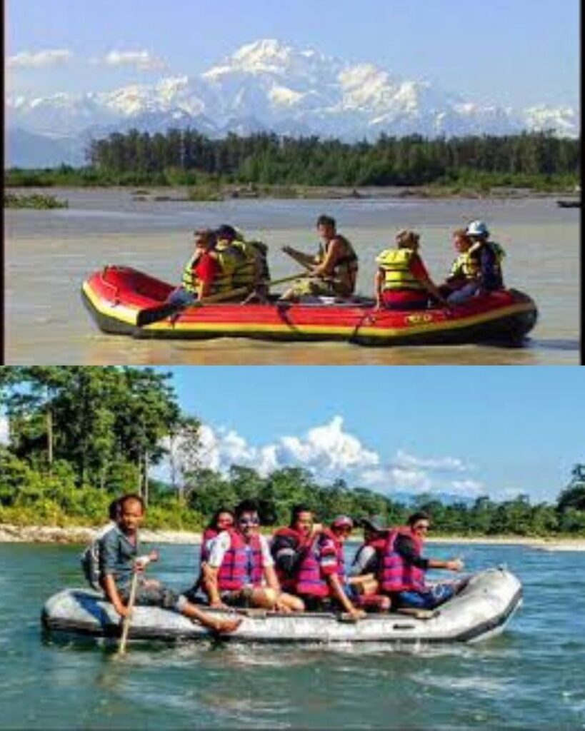 activities of Manas national park