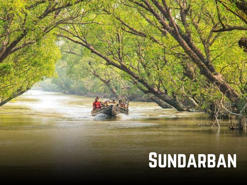 Sundarbans boat safari exploring mangrove forests near Kolkata