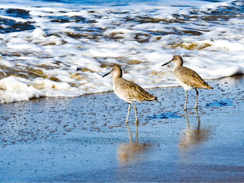 tourist places near tiruchendur