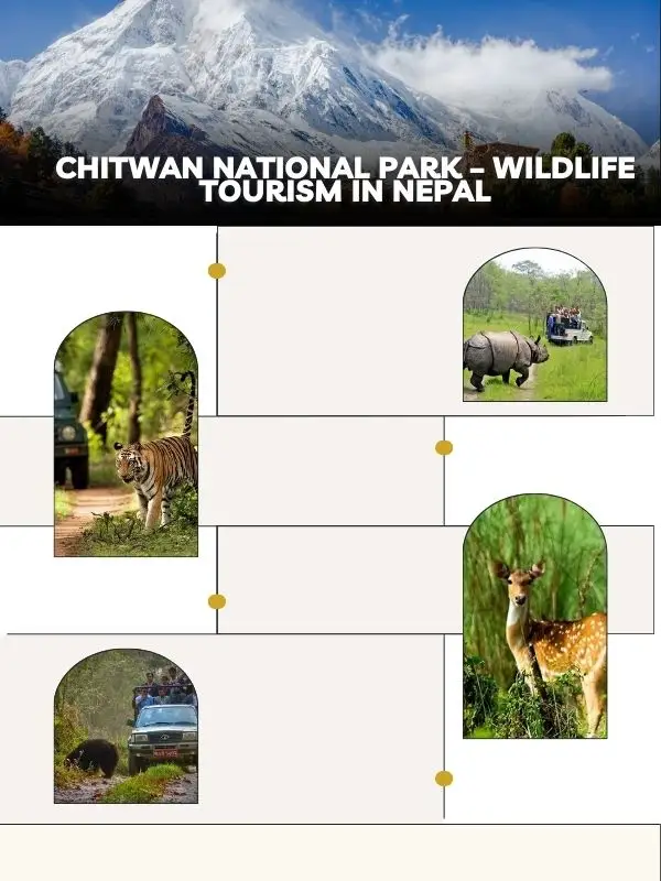 Chitwan National Park – Wildlife Tourist place in Nepal